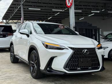 2023 Lexus NX 250 LUXURY