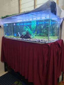 aquarium 4ft with stand