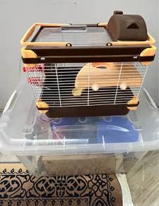 Barang Hamster As Is