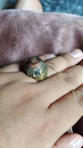 cincin kayu akar larak salah disambar petir