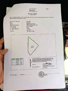 Commercial Land in Pasir Puteh, KTN