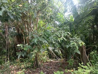 Agricultural Land in Shah Alam, SGR
