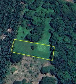 Agricultural Land in Changkat Jering, PRK