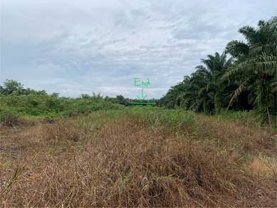 Agricultural Land in Batu Pahat, JHR