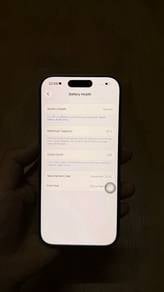 Apple iPhone 17 256 GB
