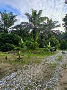 Agricultural Land in Tapah, PRK