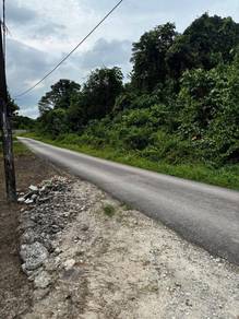 Agricultural Land in Gelang Patah, JHR