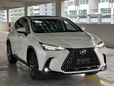 Lexus NX 250 LUXURY in Desa Petaling, KUL