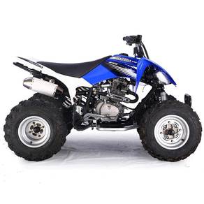 NEW PENTORA 250cc Hot cod in perak