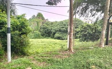 Agricultural Land in Temerloh, PHG
