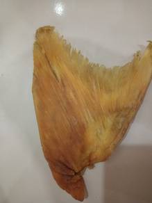 200g 11 inches Shark Fin