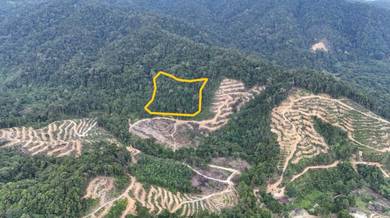 Agricultural Land in Papar, SBH