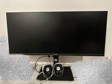 Prism+ W340U Pro ( Flat Panel)