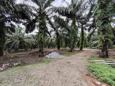 Residential Land in Pekan Nanas, JHR