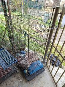 Sangkar Kucing