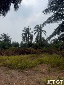 Agricultural Land in Kuala Selangor, SGR