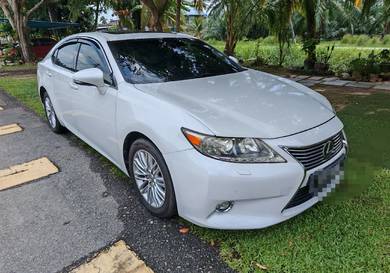 Lexus ES 250 LUXURY in Parit Raja, JHR