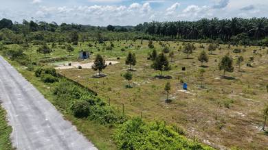 Agricultural Land in Bentong, PHG