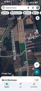 Agricultural Land in Pokok Sena, KDH