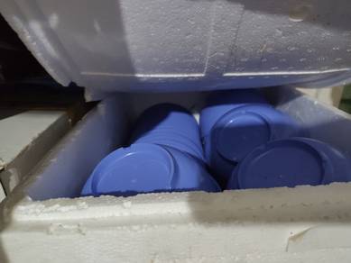 Pinggan Mangkuk Melamine