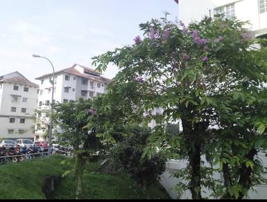 Apartment For Sale in Segar Apartments
