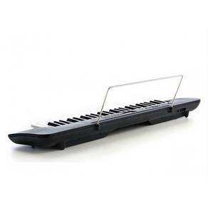 Casio Electronic keyboard ctk240