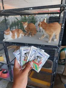 Supplement Untuk Kucing
