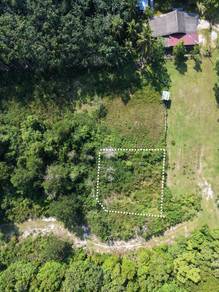 Residential Land in Pekan, PHG