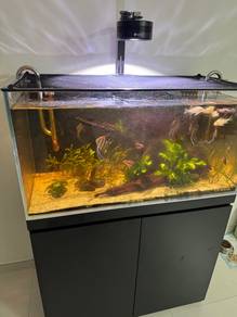 aquarium sell in all 1set