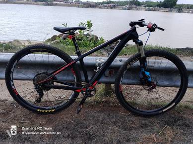 MTB 29" Frame Carbon