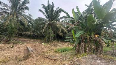 Agricultural Land in Pontian, JHR