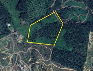 Agricultural Land in Kudat, SBH