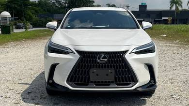 Lexus NX 250 LUXURY in Skudai, JHR