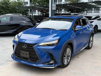 Lexus NX 250 LUXURY in Bandar Kinrara, SGR