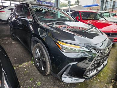2023 Lexus NX 250 LUXURY