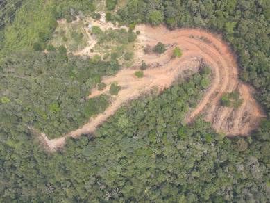 Agricultural Land in Jelebu, NSN