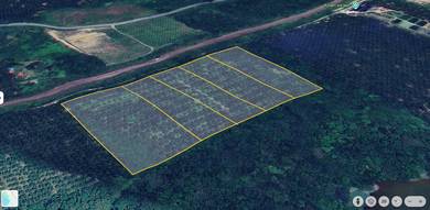 Agricultural Land in Tanjung Malim, PRK