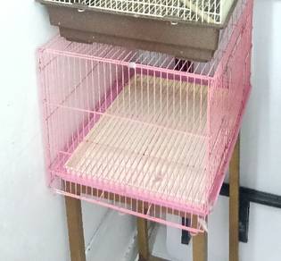 Sangkat burung