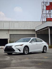 Lexus ES 250 LUXURY in Johor Bahru, JHR