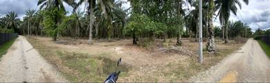 Agricultural Land in Tangkak, JHR