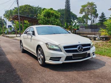 2013 Mercedes Benz CLS350 350 BlueEFCY (CBU)