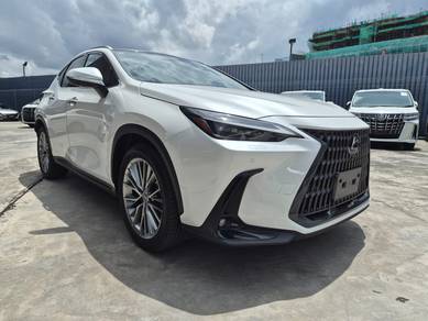 Lexus NX 250 LUXURY in Chan Sow Lin, KUL