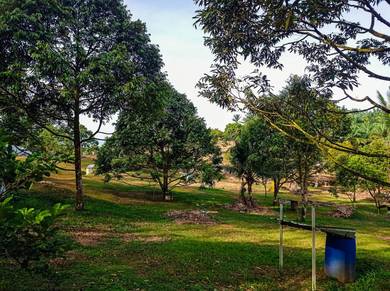Agricultural Land in Sungai Siput, PRK