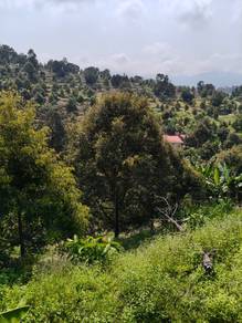 Agricultural Land in Raub, PHG