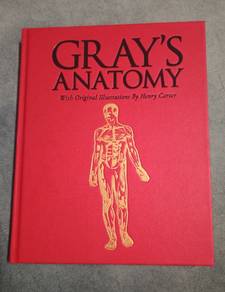Gray's Anatomy