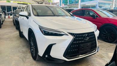 Lexus NX 250 LUXURY in Ara Damansara, SGR
