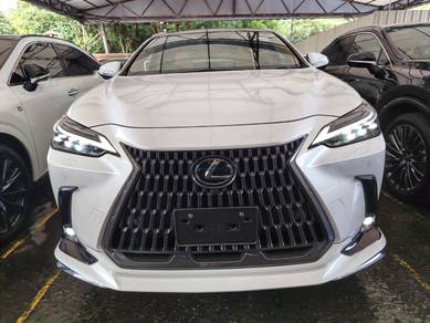 2023 Lexus NX 250 LUXURY