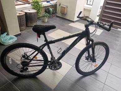 Adult bicycle