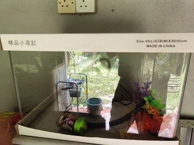 aquarium for sale
