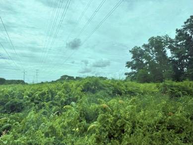 Agricultural Land in Klang, SGR